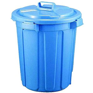 yTz aH sWy[ 45^ ӂt { (1g)