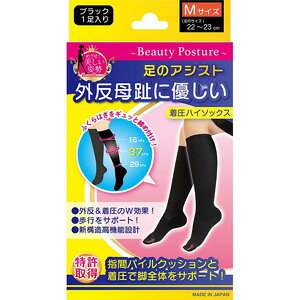 ̃AVXg OɗD\bNX ubN MTCY (22`23cm) T|[g \bNX