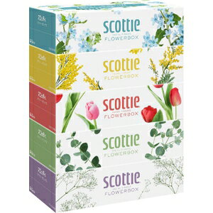 XRbeB eBV[ t[{bNX (250g×5pbN) pi  eBbV