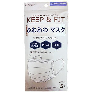 򖗃EBXAԕ炵I ӂӂ}XN (5) ʕ sDz}XN nEX_XgAPM2.5ɂ