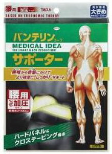 oeR[ T|[^[ p ^Cv ubN 傫(1) oe