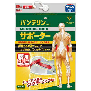 oeR[ T|[^[ p^Cv u[O[ 傫 (1) T|[g