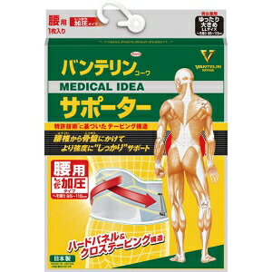 oeR[ T|[^[ p^Cv u[O[ 傫 (1) T|[g