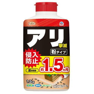 A[X K[f A ^Cv (1200g) A̐Nh