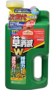 y_z A[XK[f@A[XJ}CY@ WEwbh (2L)@̏ yAz