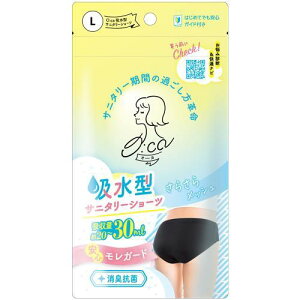 IOWp I[J zTj^[V[c L (1) pi