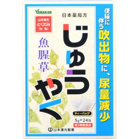 【第3類医薬品】【A】 山本漢方 日本薬局方 じゅうやく ティーバッグ (5g×24包) 便秘、尿量減少、便秘に伴う吹出物に