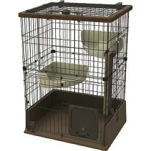 yeBI necoco(lRR) Lbg[T[N(1)