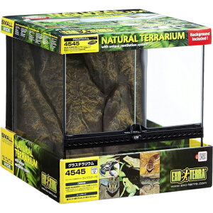 yJz GL]e OXeE 4545 PT2605(1)