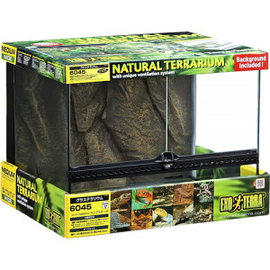 yJz GL]e OXeE 6045 PT2610(1)