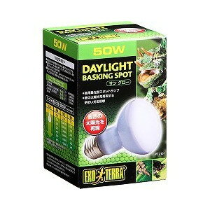 �yJ�z �G�L�]�e�� �T���O���[ �o�X�L���O�X�|�b�g�����v 50W(1��)