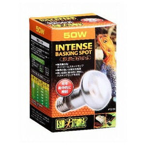 yJz GL]e TO[ ^Cgr[ oXLOX|bgv 50W(1)