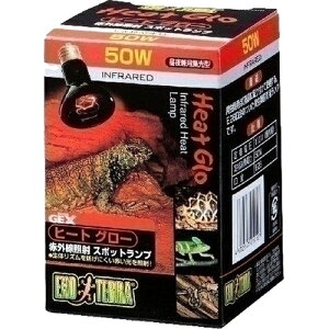 yJz GL]e q[gO[ ԊOƎ˃X|bgv 50W(1)