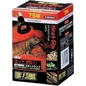 yJz GL]e q[gO[ ԊOƎ˃X|bgv 75W(1)