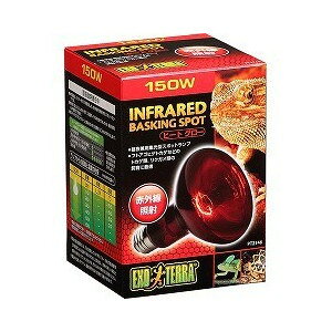 yJz GL]e q[gO[ ԊOƎ˃X|bgv 150W(1)