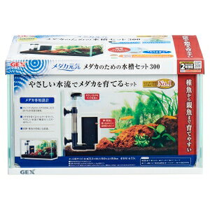 WFbNX _JC _Ĵ߂̐Zbg 300 (1) E_Jp _Ĵ߂̐Zbg