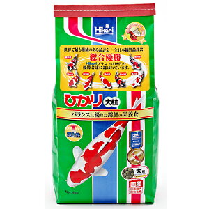 yJz L[ Ђ 嗱 (4kg) ь a GT