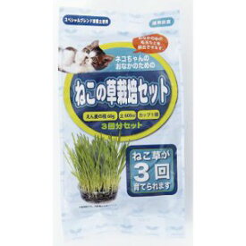 アラタ ねこ草 栽培セット (3回分) 毛玉対策に