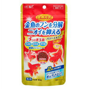 GEX WFbNX C voCI t[h Fg (80g) Ϗ܋t[h