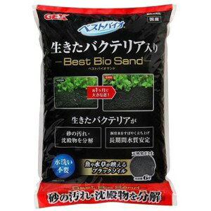 GEX WFbNX xXg oCITh (6L)  ꍻ ~