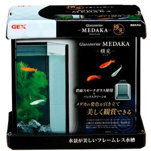 GEX ジェックス グラステリア メダカ 横見 背面スモークガラス 3年保証 (1セット) 水槽ケース