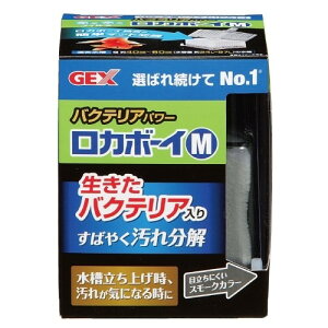 GEX(WFbNX) J{[CM oNeAp[ (1) ANAEpi