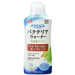 GEX WFbNX _JC oNeAEH[^[ (300mL) 