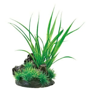 GEX WFbNX i ANALoX VyX (1) Ϗ܋p ANZT[