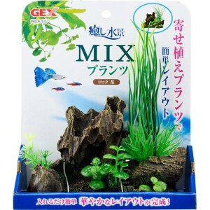 GEX WFbNX i MIXvc bN  (1) Ϗ܋p ANZT[