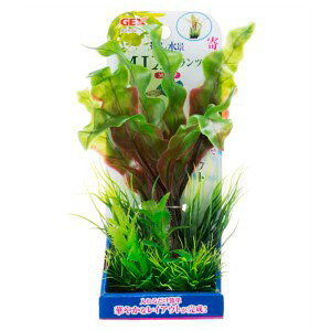 GEX WFbNX i MIXvc M A|m (1) Ϗ܋p ANZT[