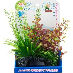 GEX WFbNX i MIXvc ~jA[` bh^ (1) Ϗ܋p ANZT[