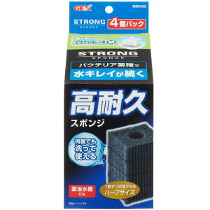 GEX(WFbNX) J{[C M XgO X|W (4) ANAEpi