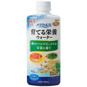 GEX WFbNX _JC Ă h{EH[^[ (300mL) 