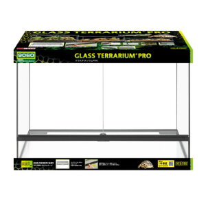 WFbNX GEX OXeE PRO9060 PT4413 (1) ঒ Q[W