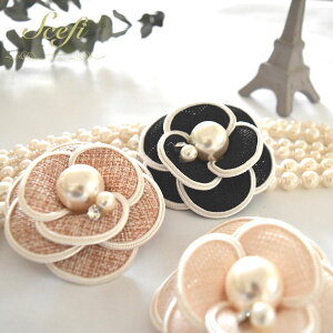 RT[W t[ p[ CXg[ Zj[ tH[}  JA cC[h |Cg Nbv Ǝ  w 