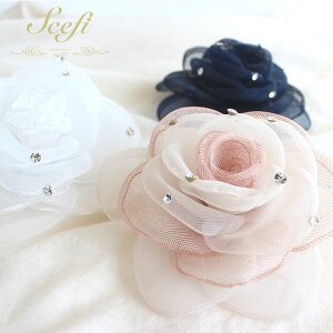 RT[W t[ CXg[ Zj[ tH[} o [Y  I[KW[  |Cg Nbv Ǝ  w 