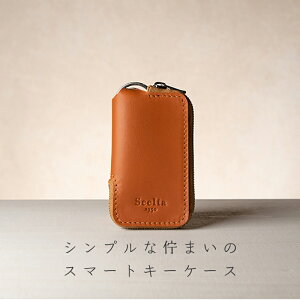 L[P[X X}[gL[P[X v J[ZLeB P[X oCp[ NtH[h pe[ ㎿ Y U[ At@[h 傫 Y v 30 40 fB[X a NX}Xv