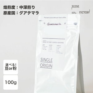 スペシャルティコーヒー 100g【 グアテマラ 】| シングルオリジン 中深煎り シティロースト | 京都 自家焙煎 直送 豆 粉 新鮮 ドリップコーヒー コーヒー豆 珈琲豆 | 【公式】SCENE FACTORY COFFEE ROA