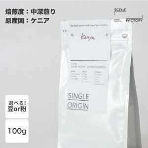 XyVeBR[q[ 100gy PjA z| VOIW [ VeB[Xg | s     VN hbvR[q[ R[q[ 蓤 | yzSCENE FACTORY COFFEE ROASTERS 