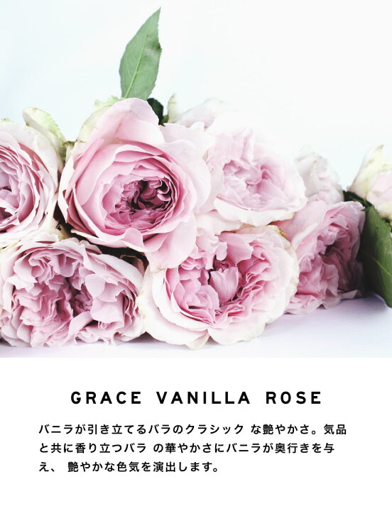 楽天市場】レイヤードフレグランス ボディスプレー 100ml プレミアムライン LAYERED FRAGRANCE Body Spray 香水 メンズ レディース ユニセックス フェロモン香水【レイヤードフレグランス オフィシャルサイト】 おうち時間 : scent i land(セントアイランド) 楽天市場】レイヤードフレグランス ボディスプレー 100ml プレミアムライン LAYERED FRAGRANCE Body Spray 香水 メンズ レディース ユニセックス フェロモン香水【レイヤードフレグランス オフィシャルサイト】 おうち時間 : scent i land(セントアイランド)