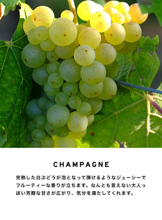 みんなのお薬プレミアムレイヤードフレグランス Layered Fragrance 1個 10ml ボディースプレー ホワイトムスク