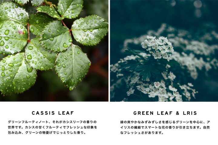 楽天市場 23種類の香りをまとめてお試しサンプル お試しムエット ポスト投函 Sholayered ショーレイヤード 香水 お試し サンプル 試香紙 香り フレグランス 香水 ディフューザー ボディスプレー コロン オードトワレ パルファン 激安 格安 Scent I Land