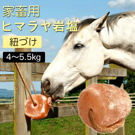 ★★アニマル用岩塩 アニマルソルト 家畜用ソルト 動物岩塩 ヒマラヤ岩塩 約2～3.5kg 4~5.5kg 家畜用岩塩…