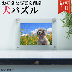  ybg  q e Ck  ʐ^ pY WO\[pY ObY ʐ^ IWi I[_[Ch  z t[  G f  摜 a vo L
