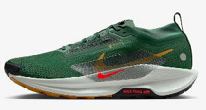 yziCLiCL yKTX 5 SAebNXNIKE PEGASUS 5@GTX t@[/NCO[/fU[gI[N/uCgN]