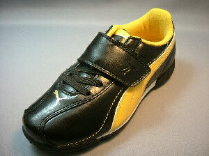 GV[g XL TT V JR 101611