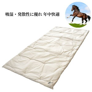 【快眠】馬毛敷ふとん ふとん 布団 敷ふとん 敷布団 シングル 100×200 ばもう 体圧分散 天然素材 吸湿性 発散性 支え感 弾力性 やわらか 軽い オールシーズン シェーンベルグ毛敷ふとん ソフ