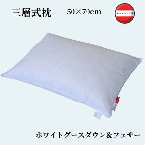 Ow 50×70cm tFU[ _E Hэ _炩 炩 ݂Ȃ ze zedl HEFEL wbtF VF[xO Q