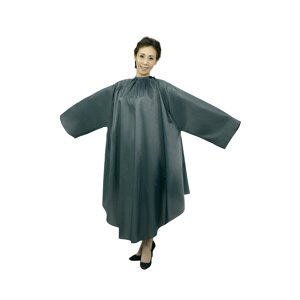 GNZ W7095 ChwA_ChX S X[NO[