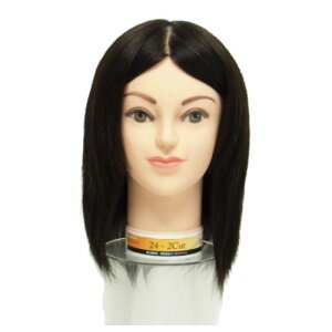 y񂹏iAz[JWp 24-2Cut ƎKpJbgEBbO